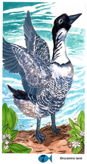 Hawaiian Aloha Tarot